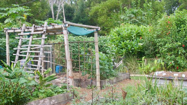 Comment intégrer les principes de la permaculture dans un petit jardin urbain ?